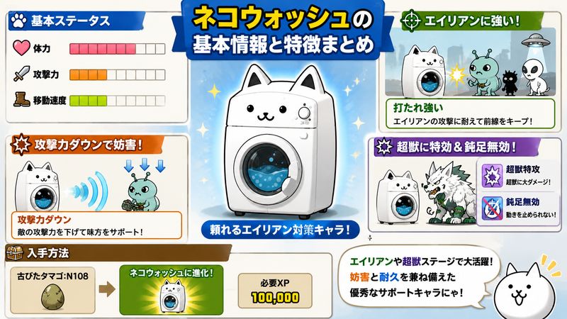 1.ネコウォッシュとは？基本情報と特徴
