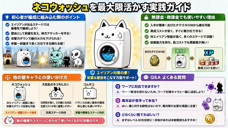 4.ネコウォッシュを最大限活かす実践ガイド